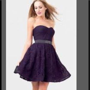 NWT stunning Adrianna Papell evening dress